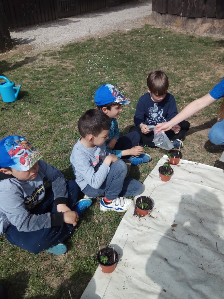 CorMarFig's tweet photo. Els de C.Inicial fem de jardiners i de pastissers a les colònies. Que bé que ens ho passem!! #colònies #cinicial https://t.co/JLaI0VoRM4