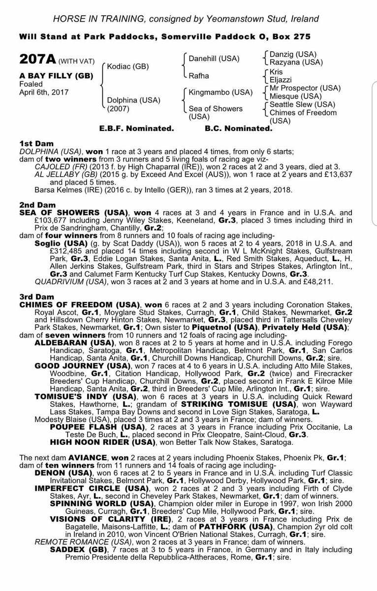 YeomanstownStud's tweet photo. Don't miss supplementary Lot 207A @Tattersalls1766 Guineas Sale this week, a racy daughter of @HoStud Kodiac ⬇️ #ThisFillyCan https://t.co/PgTXbRPmBU