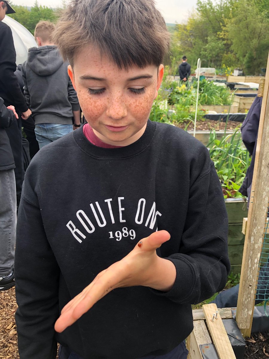 LargsAcademy's tweet photo. Skills Academy learning about horticulture at Fairlie Community Gardens today https://t.co/YJNUaOSq8t