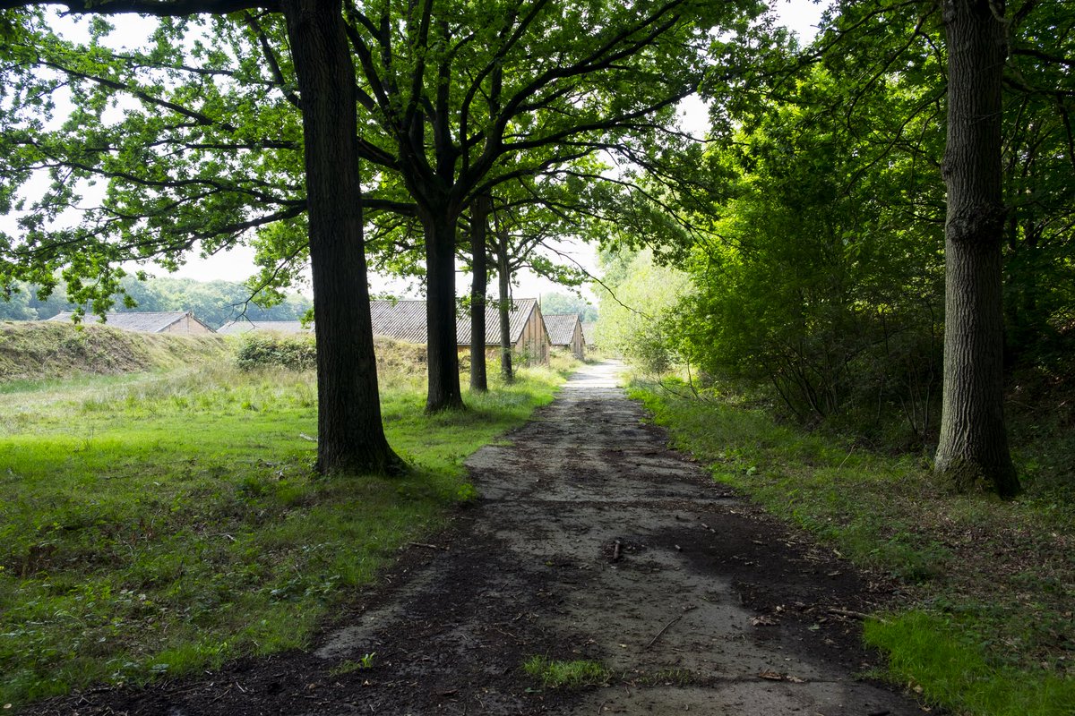 infozedelgem's tweet photo. Twee gidsen nemen je op 18 mei op sleeptouw door het voormalige krijgsgevangenkamp in Vloethemveld. Een unieke kans om het gebied te bezoeken! Schrijf je in via https://t.co/xj3qjSnUrb. Foto: Henk Rogiers. #vormingplus https://t.co/YIqLvy4B2F