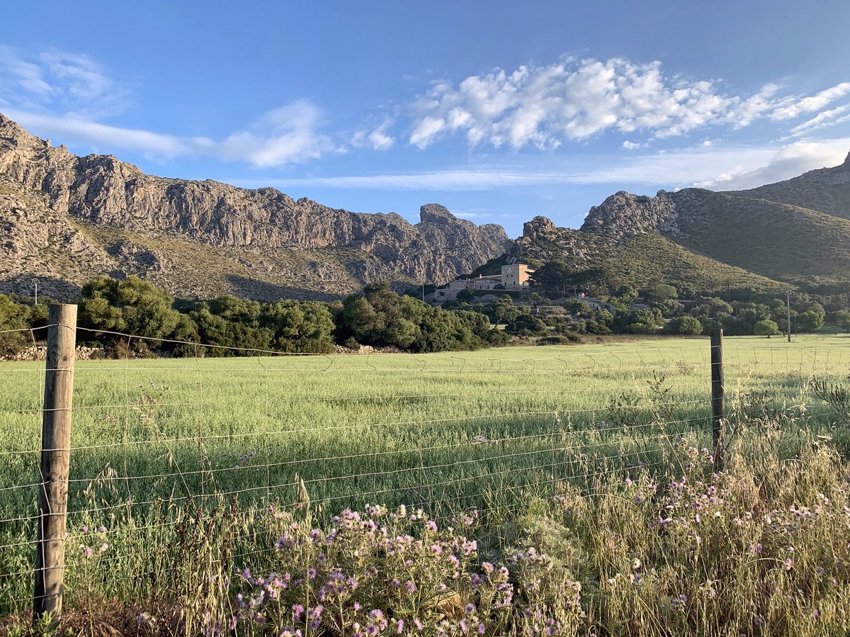 LesleyAtterwill's tweet photo. #Boquer #PortDePollença #Mallorca Good Morning folks! Hope it’s a great one💕 https://t.co/ZkoIfLyzei