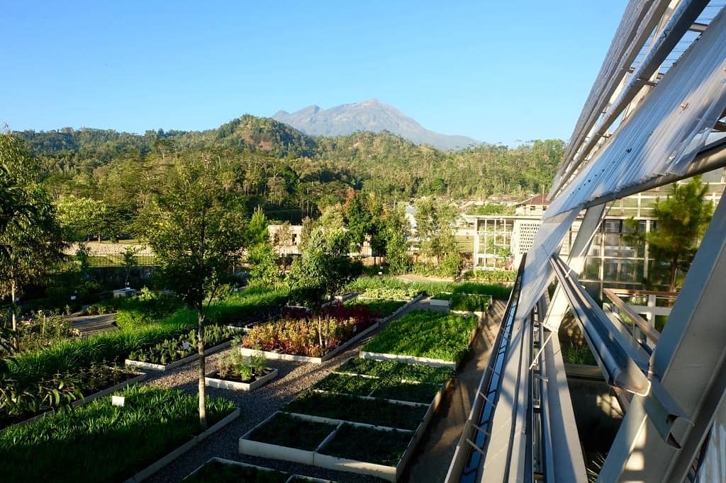 Ig Agendasolo On Twitter Ono Sing Mudeng Green House Ig Agendasolo On Twitter Ono Sing Mudeng Green House