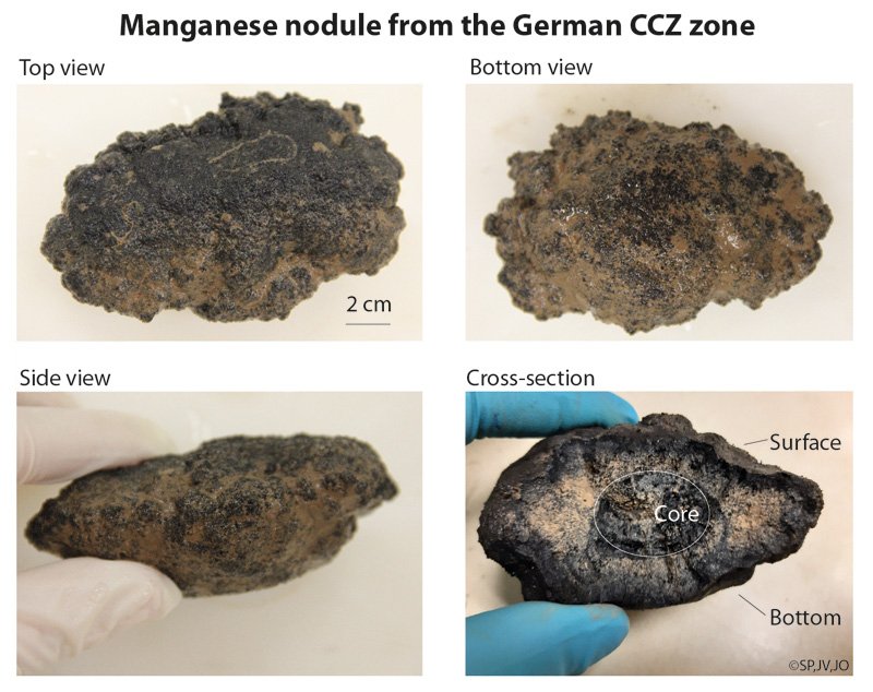 GEOMAR_de's tweet photo. Was sind #Manganknollen eigentlich wie bilden sie sich? Antworten gibt der neueste Post im @miningimpact Blog direkt von der #FS_SONNE im Zentralpazifik: https://t.co/ZisLqdxAgQ @MarineMicrobio @AWI_de @BMBF_Bund https://t.co/Uv9nCvI4AL