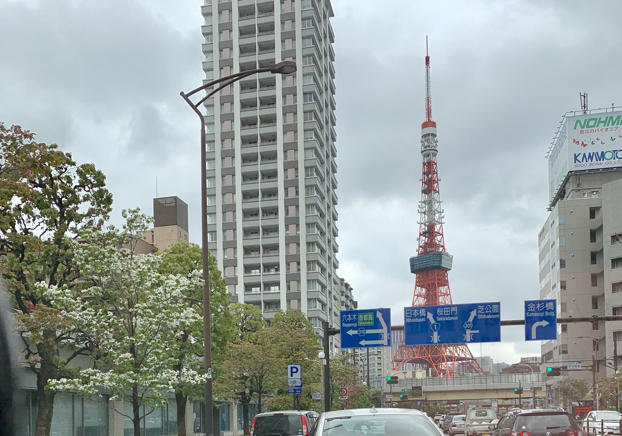 清花園 花屋 いつもありがとうございます 今日 配達範囲が広かったので疲れました 道が空いてて良かったです 東京タワー スカイツリー 丸子橋を渡る手前 中原街道 丸子橋を渡る手前の並木道がスキです 花 生花 大田区 大鳥居 花屋