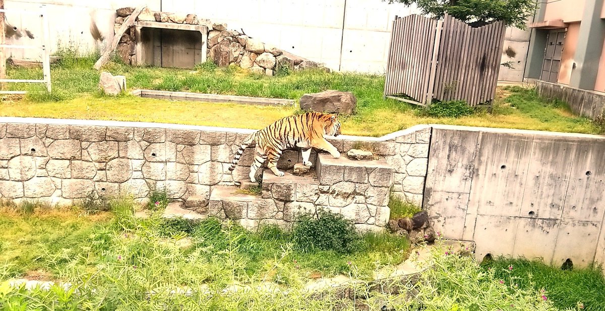 ピクニックからの動物園めちゃ楽しかった～?✨ 