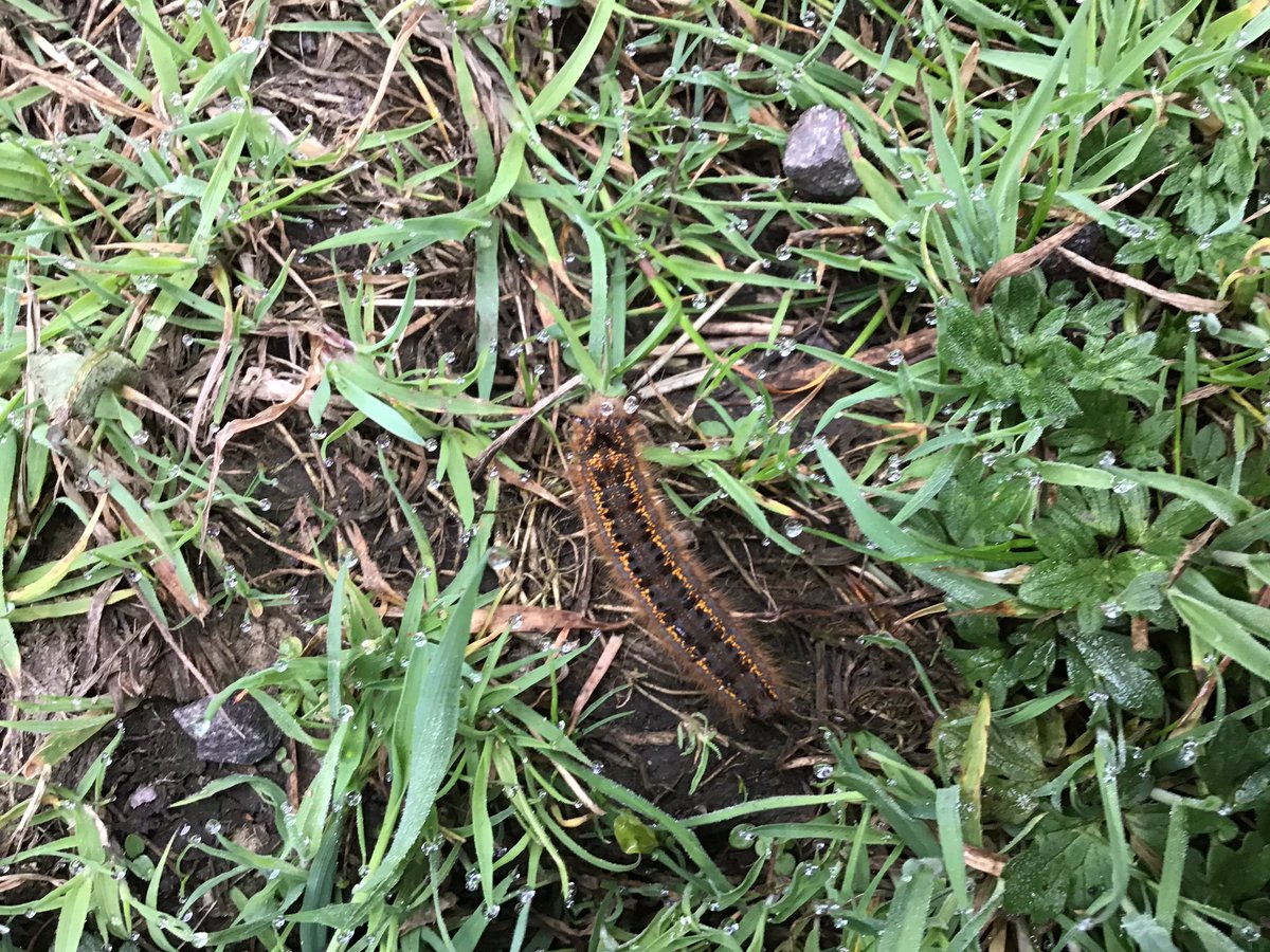 Children & Family Work 3D tweet media