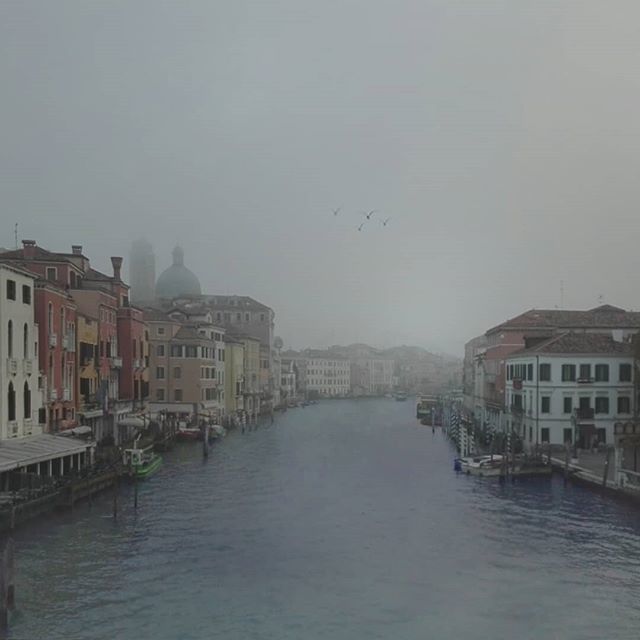 InViaggioYT's tweet image. In silence, 
melancolhy Venice

#fog #silence #venice #venezia #venise #venecia #veneding #venedik #veneza #veniza #italy #italia #morning