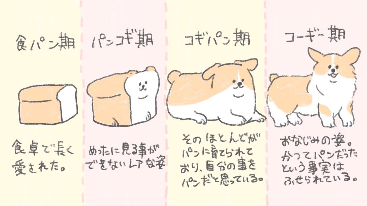 #平成最後に自分史上一番バズった絵を貼る
隠された事実、コーギーはかつてパンだった 