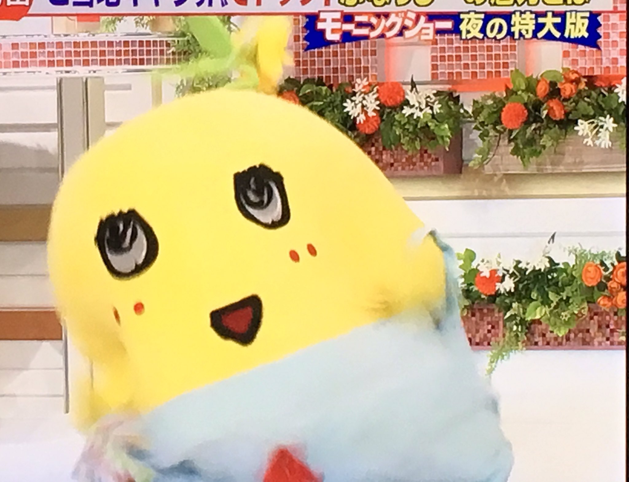 羽鳥慎一モーニングショー夜の特大版 Twitter Search Twitter