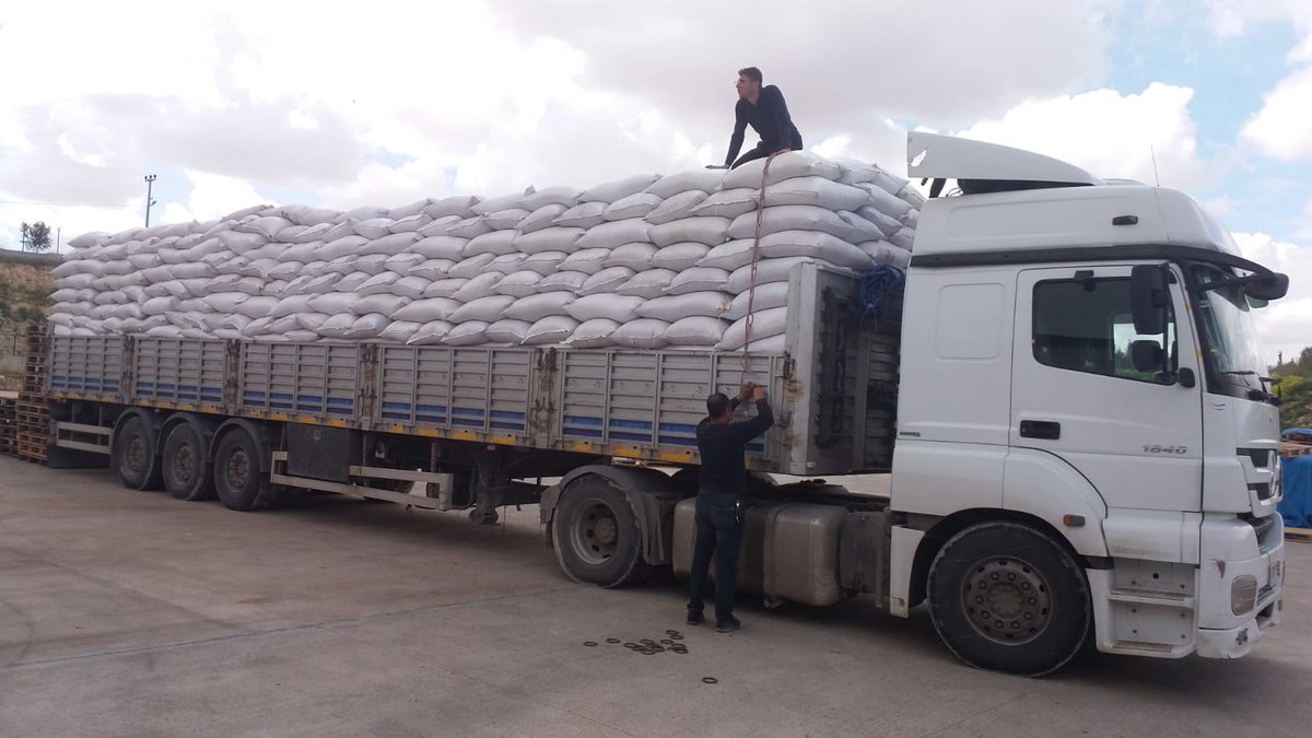 Kayısı çekirdegi satişı