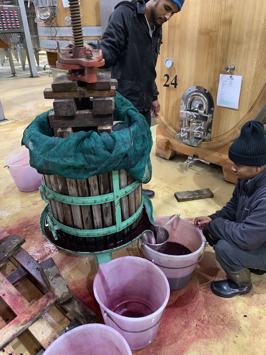 johannfourie's tweet photo. Pressing the last reds today, two parcels of Cabernet &amp; Syrah that made themselves by being left untouched for 2,5 months. All we did was to close the lid... @BenguelaCove #Vinography https://t.co/HOKaKO8m2c