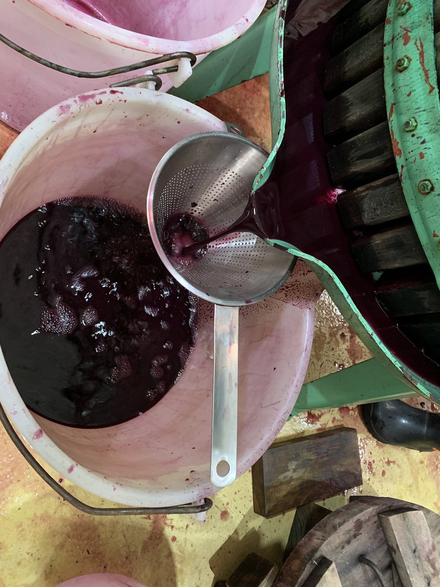 johannfourie's tweet photo. Pressing the last reds today, two parcels of Cabernet &amp; Syrah that made themselves by being left untouched for 2,5 months. All we did was to close the lid... @BenguelaCove #Vinography https://t.co/HOKaKO8m2c