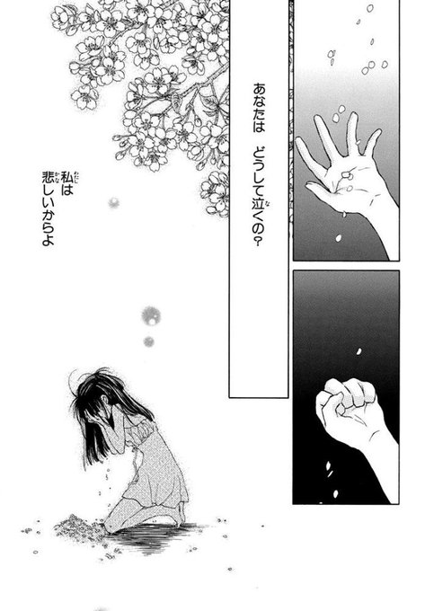 比較 花とゆめ ロマンスとバトル が種村有菜の絵柄に似てると謝罪 炎上 まとめダネ
