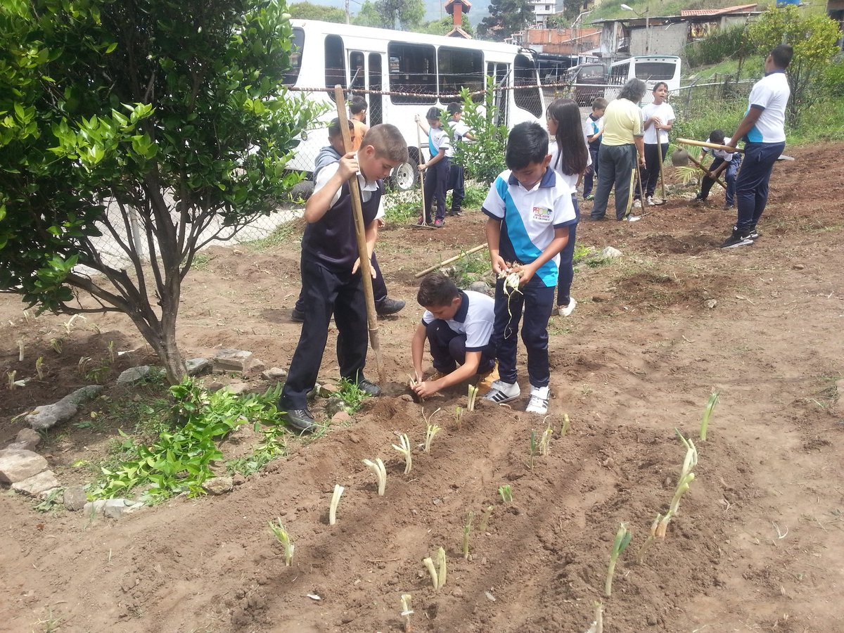PTMS: Reimpulso del Conuco Escolar en <a href="/EscuelaJauregui/">ESCUELA JÁUREGUI-TÁCHIRA</a>. @MPPEDUCACION @ZonaEducTachira <a href="/charlychaves/">Charly Rojas Chaves</a> <a href="/01Ptmstachira/">PTMSTACHIRA</a> <a href="/Crazet2011/">Crazet2011</a> <a href="/divceup/">Comunidades ZET</a> <a href="/BolivarianasZET/">Erika Varela Sayago Escuelas Bolivarianas</a> <a href="/jaureguic1/">@jaureguic12015</a> <a href="/CLIFPJauregui/">CLIFPMV Jáuregui</a>