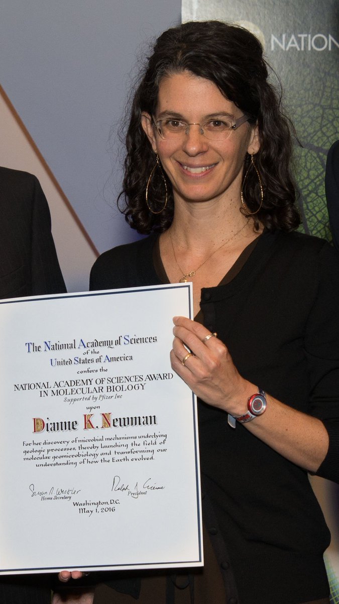 Congratulations Dianne K. Newman of @Caltech, newly elected #NASmember! #NAS156 #EarthSciences #BiologicalEngineering nasonline.org/news-and-multi…