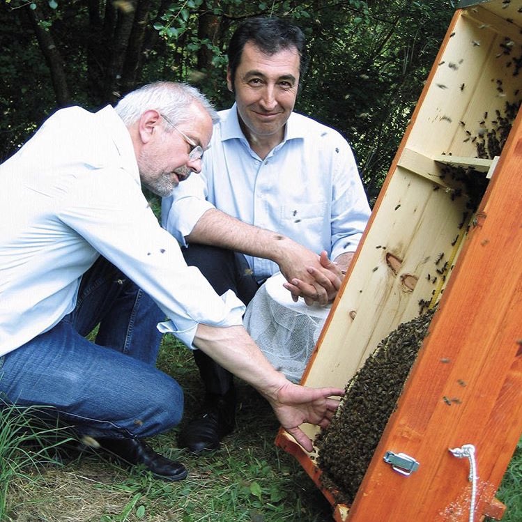 Cem Özdemir looking at Kamera while next to Bienen

Quelle: Instagram von Cem Özdemir