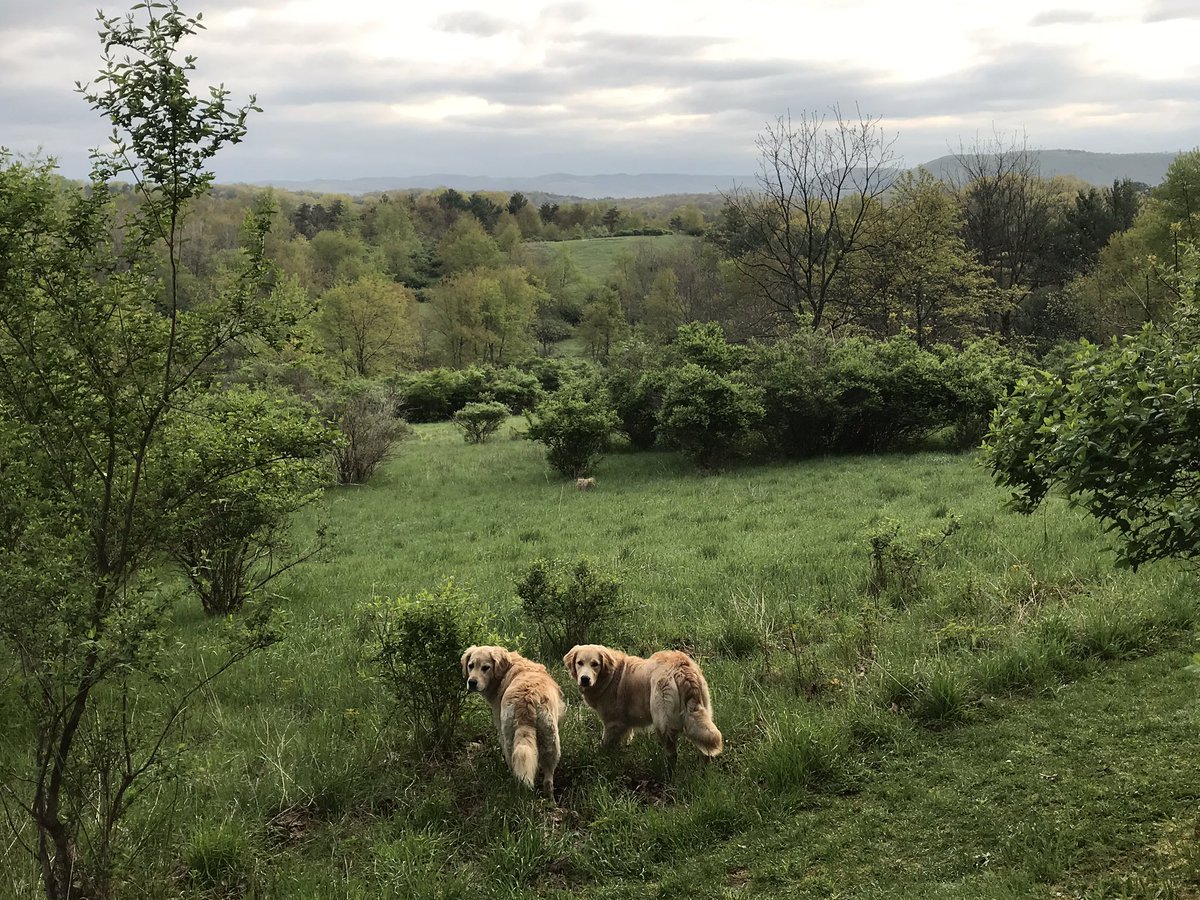 JuniataPrzTroha's tweet photo. Cool, crisp April morning stroll in @huntingdonpa and @juniatacollege #Blessings https://t.co/Ysosik3deh