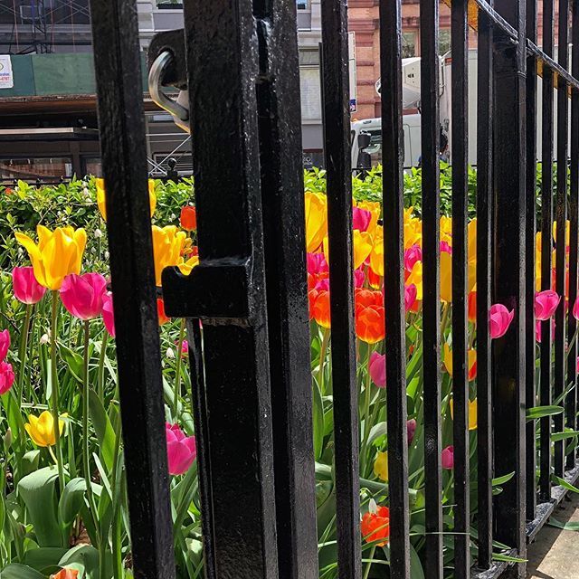 prospect_lux's tweet photo. Flower jail overcrowding is a real issue https://t.co/yLKuJWC7qK https://t.co/vOtAdx7NYu