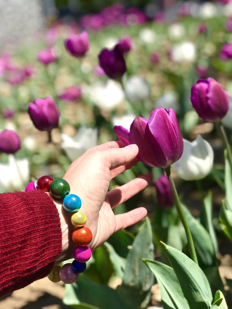 AJOLA's tweet photo. Life is beautiful☀️🌷🌷🌷⠀ ⠀ ⠀ ⠀ ⠀ ⠀ #ajola #schmuck #schmuckfürdiesinne #armband #schmuck #allcolours #geschenke #geschenkideen #hamburgerdesign #design #designaushamburg #conceptstore #hamburgerschwestern #happymood  #lichtreflektierend #accessoires #giftideas https://t.co/C4AvFZ0aMS