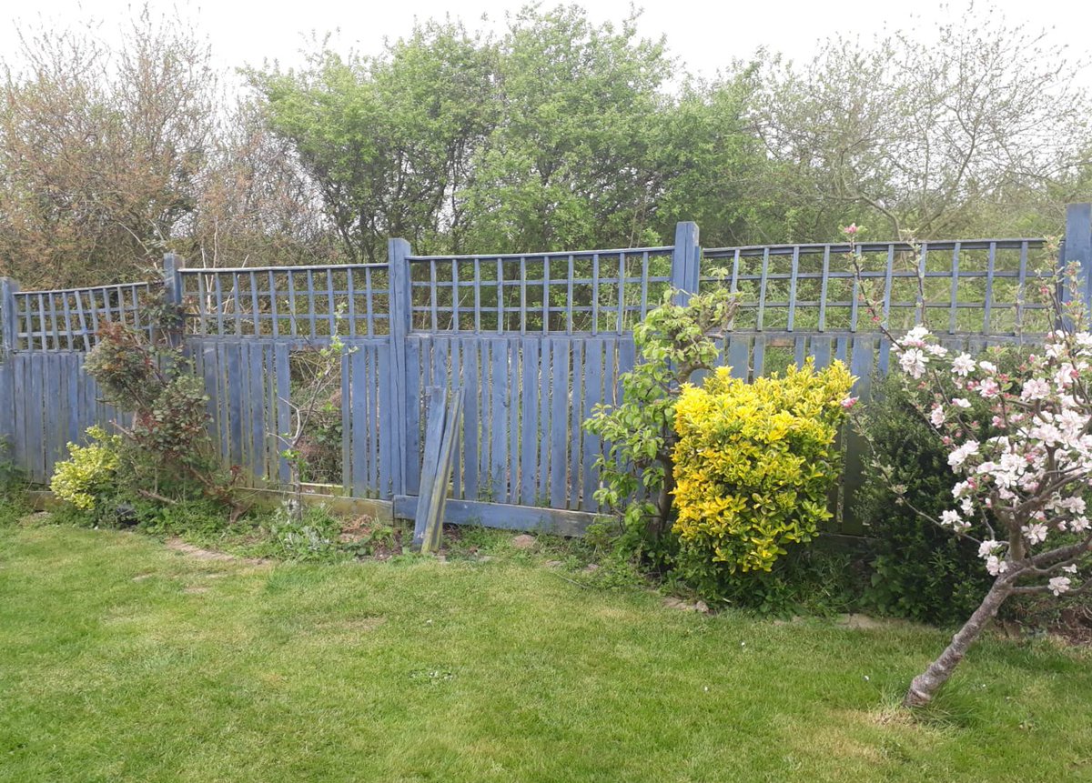 ColourfenceLtd's tweet photo. Congratulations to our team in #Leicester who received a wonderful review over the weekend for this installation! 🌟 
To find out more about our low maintenance steel fencing, visit our website: https://t.co/QnC7r0V13O
#TransformationTuesday #NationalGardeningWeek #BeforeAfter https://t.co/mCCssaqEVN