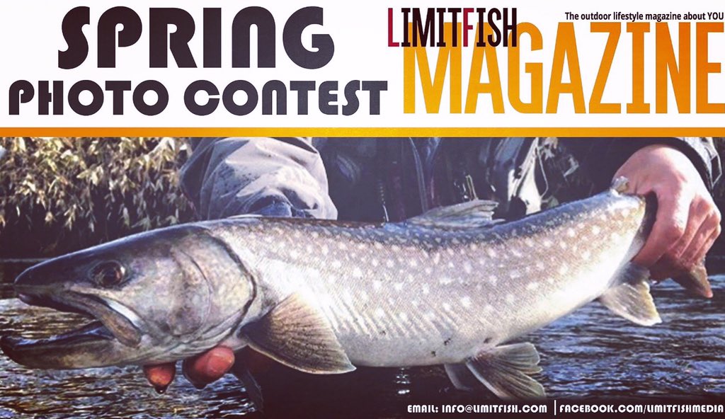 IT'S PHOTO CONTEST TIME!!!
We want to see your trout, steelhead, walleye, and panfish photos! Email us your favorite photo and your photo could be featured in the Spring 2019 edition of Limitfish Magazine info@limitfish.com #fishingontario #springfishing #icefishing #photocontest