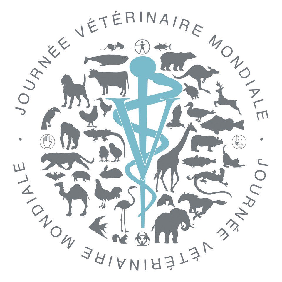 Assoccanmedvet's tweet image. L’appel aux candidatures est lancé pour le prix de la Journée mondiale vétérinaire 2019 – L’importance de la #vaccination. La date limite de présentation des candidatures est le 27 mai 2019.  veterinairesaucanada.net/news-events/ne… #wvc2019