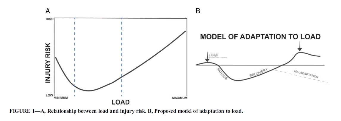 TimGabbett's tweet photo. FREE ACCESS: Load, Overload, and Recovery in the Athlete: 
Select Issues for the Team Physician—A Consensus Statement. 

https://t.co/bvOci9inui 

@msseonline https://t.co/sTZRbFgDaU