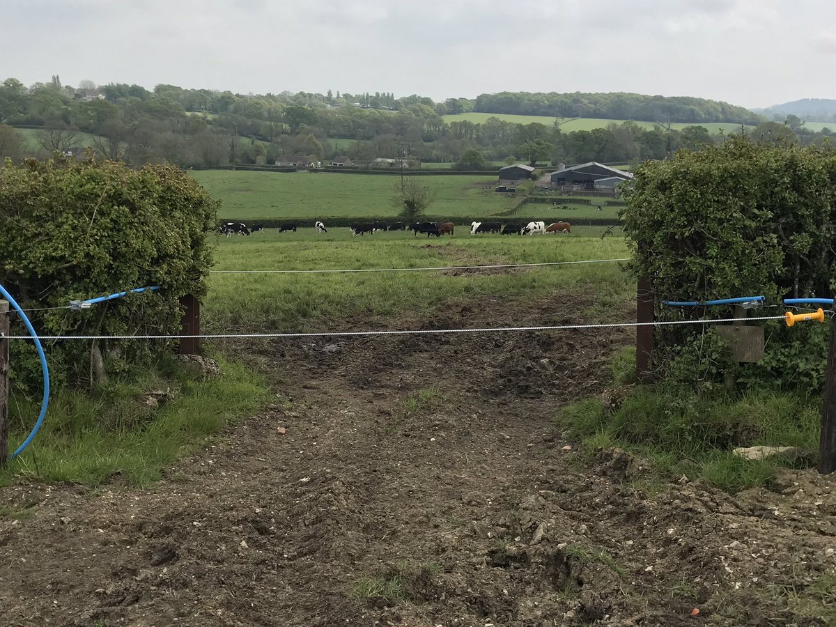 Vince_Rookery's tweet photo. 10 times cheaper than an metal gateway and far easier to open.
#bungy #electricfencing #cattleproof ⚡️🐂🐂🐂🐂 https://t.co/Crlscxthlw