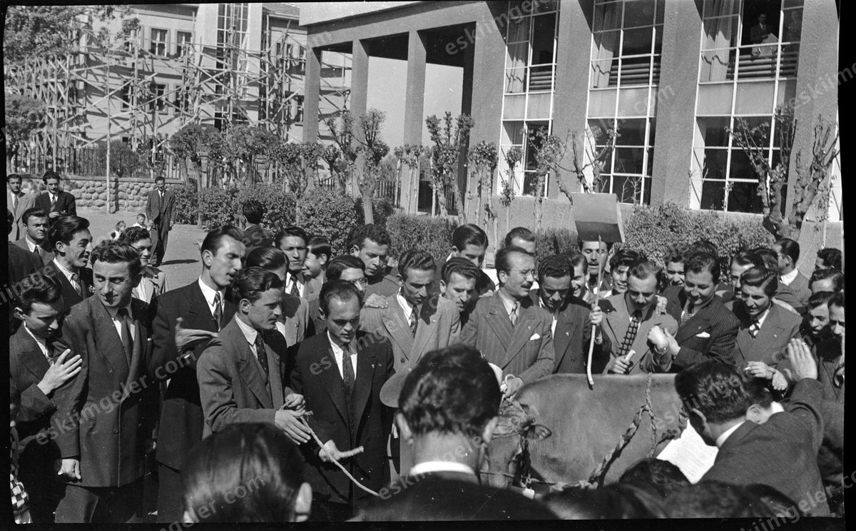 Duyduk ki, #Mülkiye'nin köklü geleneği, şenliği, #İnekBayramı, yıllardır kutlanamıyormuş hakkınca. Biz de, 10 karelik, muhtemelen '60'lı yıllara ait bir İnek Bayramı yürüyüşüne dair kareleri paylaşalım istedik.
İnek Bayramınız kutlu olsun Mülkiyeliler! 
eskiimgeler.com/%C3%9Cr%C3%BCn…