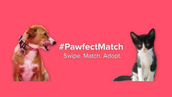 UPH_2016's tweet image. Tinder launches #PawfectMatch to amplify pet adoption in India uphindia.com/2019/04/30/tin…
