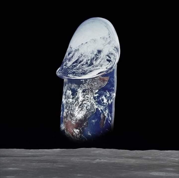 Dick Earth Society tweet media