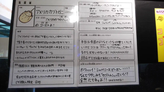 愛知県にある竹島水族館へ?️

「小さい水族館だな～」なんて馬鹿にして申し訳ありませんでした。めちゃくちゃ楽しかったです 