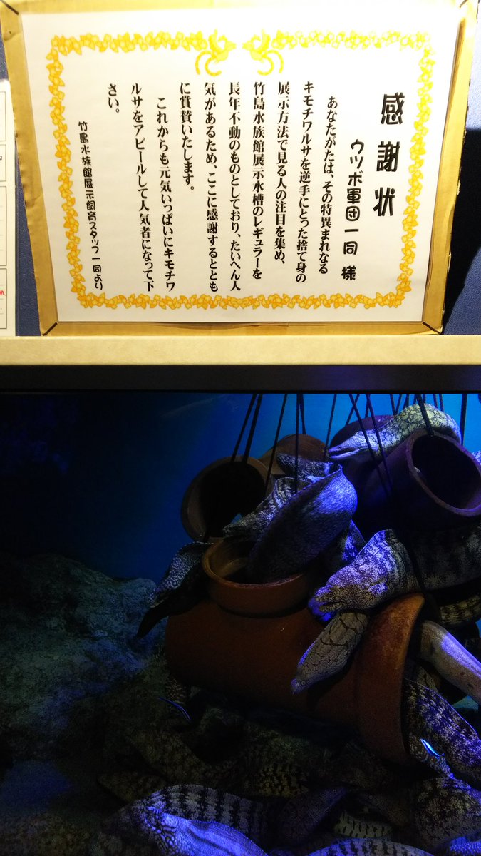 愛知県にある竹島水族館へ?️

「小さい水族館だな～」なんて馬鹿にして申し訳ありませんでした。めちゃくちゃ楽しかったです 