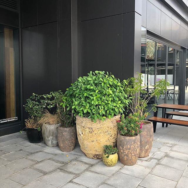 Acacia Garden Center, Dubai on Twitter: "Find the perfect way to display your favourite greens in beautiful #Planters Shop planters from our Garden Showroom in Dubai call us on 04-287-3151 for