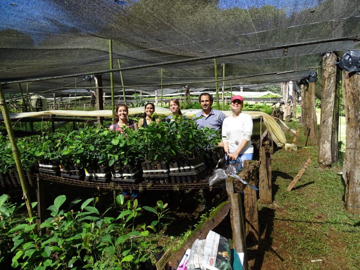 Un equipo de investigadores de la Universidad Nacional de Misiones realiza en la
Fundación Alberto Roth diferentes actividades vinculadas al proyecto PRASY-
“BIOFERTILIZANTE: dirigido por la Dra. Margarita Laczeski.