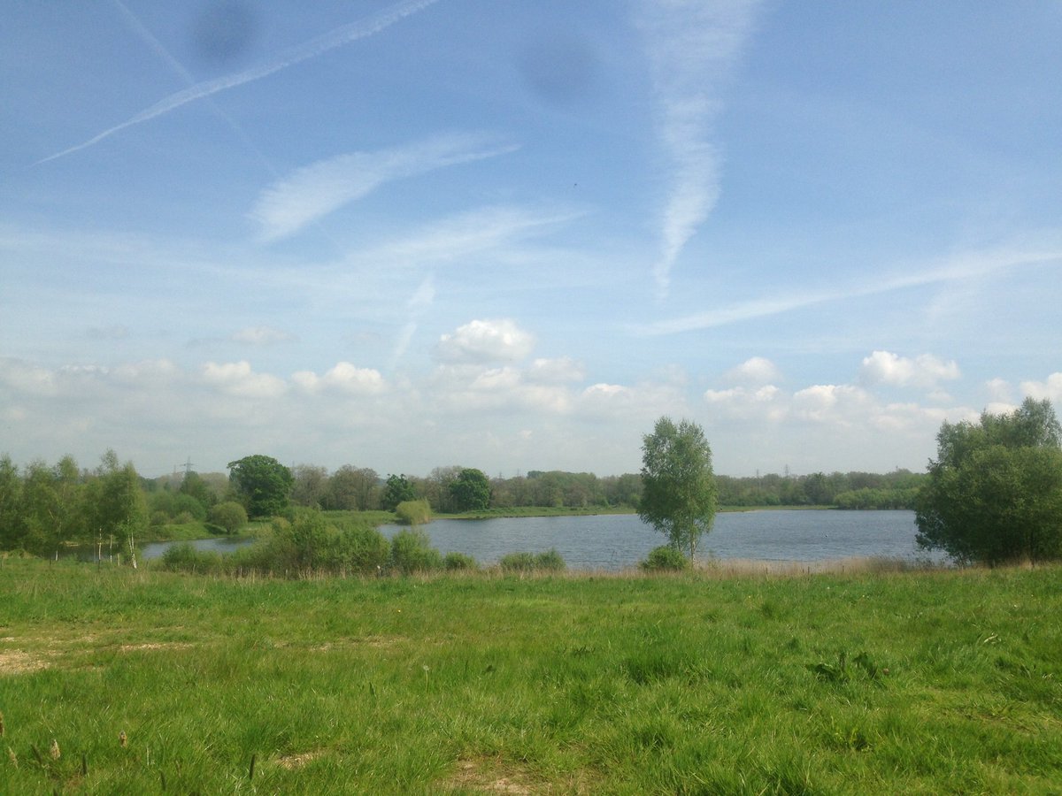 Charlie Davis (@weedsandwellies) on Twitter photo Georgeous day at Testwood Lakes for OPOF Butterfly & Bee surveying training day with <a href="/HIWWTConserve/">HIWWTConservation</a> π πΊ #wildlife #NewForest Georgeous day at Testwood Lakes for OPOF Butterfly & Bee surveying training day with <a href="/HIWWTConserve/">HIWWTConservation</a> π πΊ #wildlife #NewForest