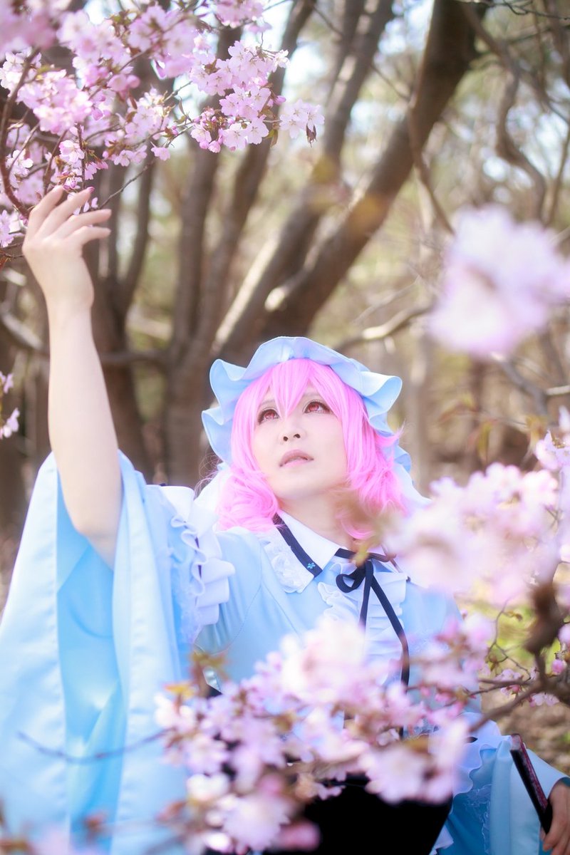 Aoは右の兄 双騎出陣したい 平成最後の 桜 ロケは数年越しの東方project 念願の幽々子やってきました 桜咲いててよかった 華胥の亡霊 死を操る程度の能力 幽雅に咲かせ 墨染の桜 Photo あるじさん Aruzi1373 平成最後の桜ロケ 平成