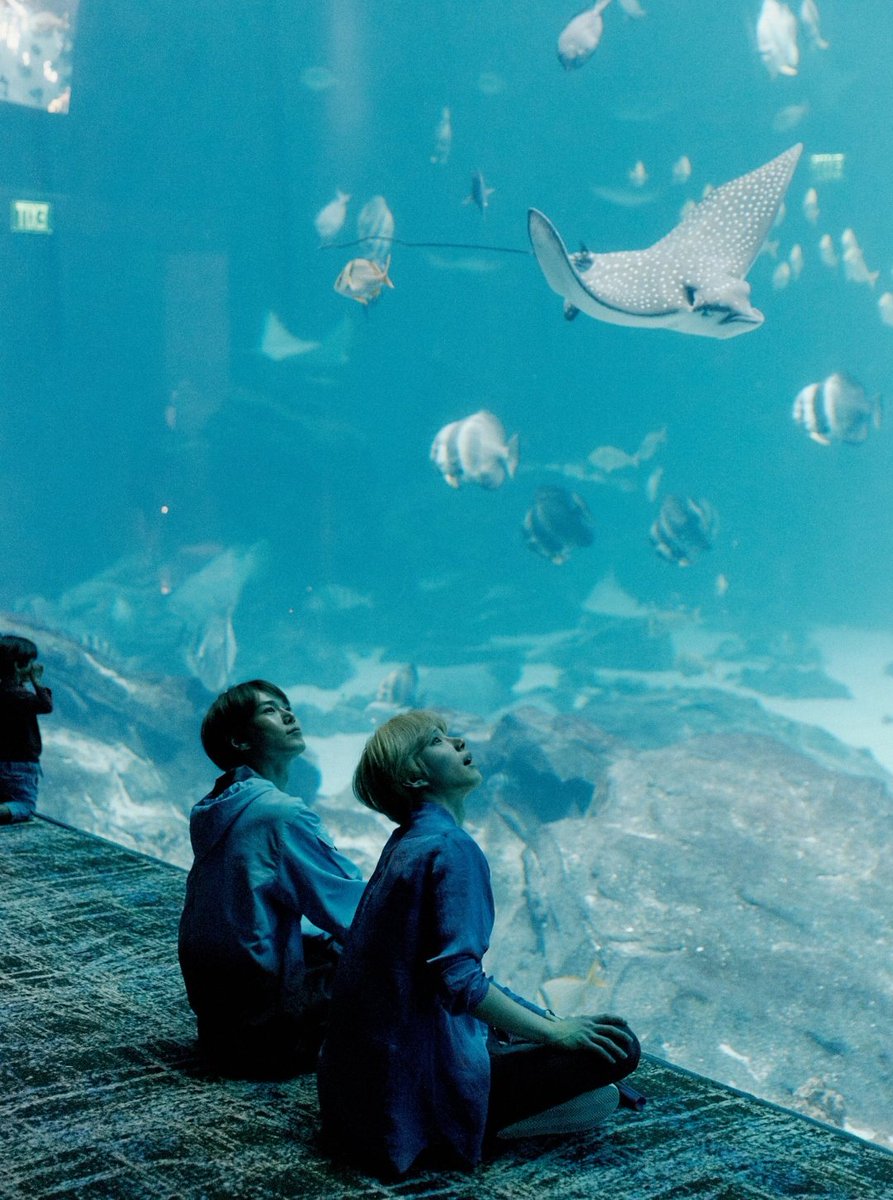 ドヨンくんは以前エンナナでラッコが本当に可愛いって話してたけど ジョンウと行ったというジョージア水族館にはラッコがいるみたい 見たかな ラッコ 可愛い可愛い言ってたラッコ