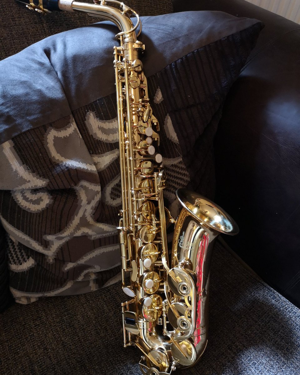 AnnaRob_primary's tweet photo. I blamed it on my break from uni, 😂 hopefully I can get back into it after all these years, sorry neighbours (and husband) 😂🎷🎷 #music #saxophone #learningagain https://t.co/MYxavQa6Jl