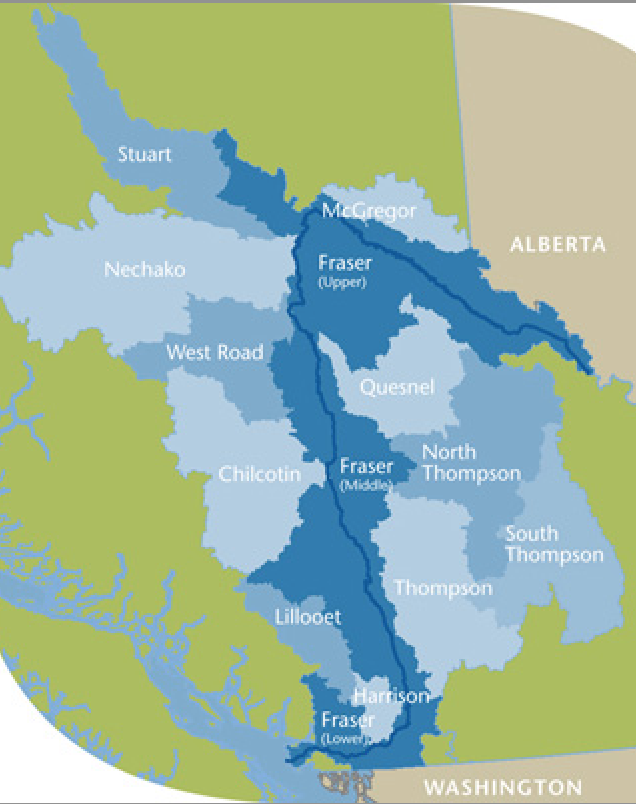 Secwepemc33's tweet photo. #NoKM #StopKM
One of my older brother's is the #FraserRiver #Sockeye #Salmon.
He doesn't care what your politics are.
This is his #TraditionalTerritory
#DontShitInIt
#IsAllHeAsks https://t.co/rE6tmikiLr