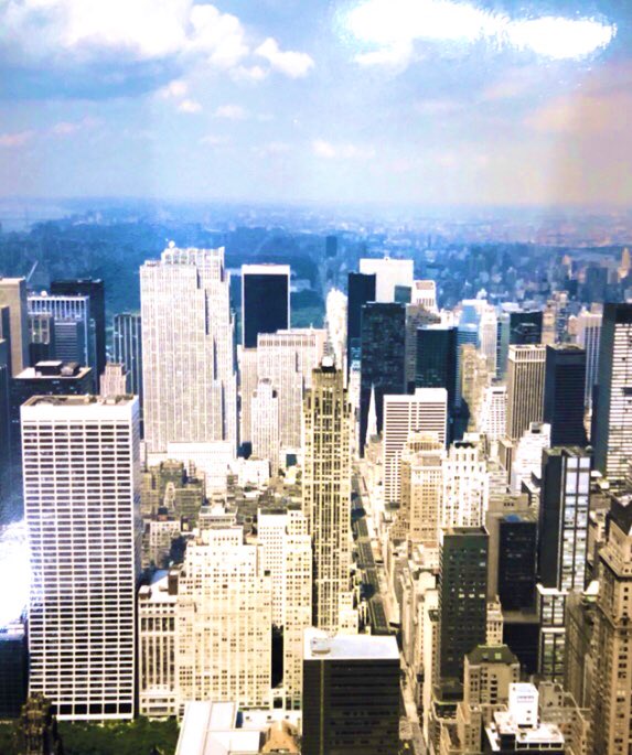 カンパ大阪 tweet media