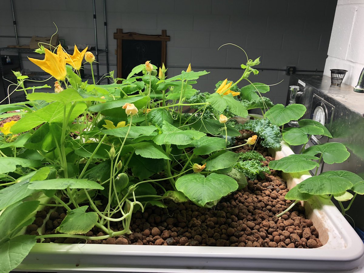 Spring Break didn’t slow us down! The beauty of a self-sustaining growing system!