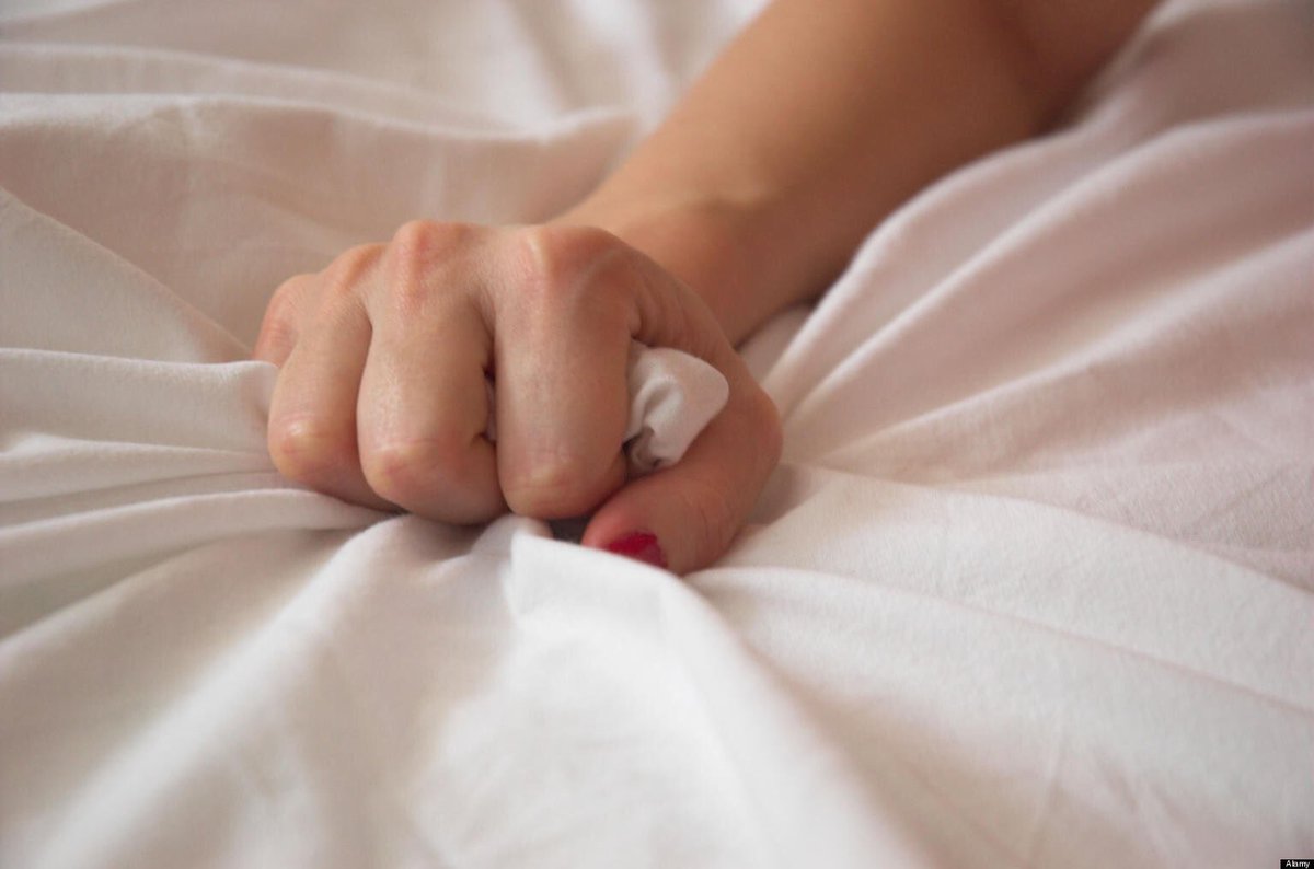 HaramiSociety's tweet photo. my hands look like this so hers can look like that https://t.co/XUvMdFUrRD
