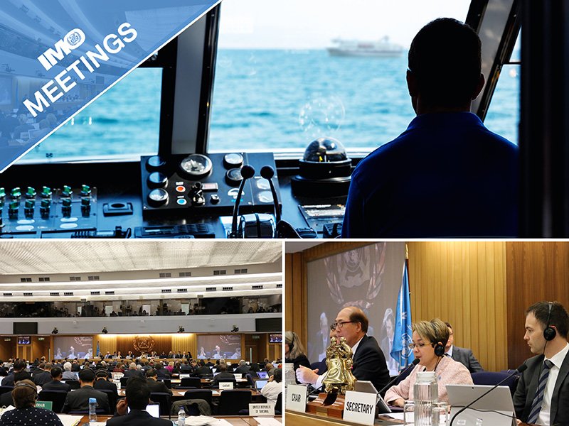 International Maritime Organization tweet media