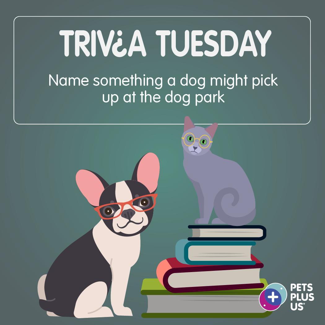 PetsPlusUsIns's tweet photo. #Win a $25 PetSmart GC! Answer the question &amp; RT to enter our #TriviaTuesday Giveaway. Open to CND residents only. Contest ends at 11:59PM EST.
Please Note, this contest is in no way sponsored, endorsed or administered by, or associated with, Facebook, Instagram and/or Twitter. https://t.co/Lges6APo5D