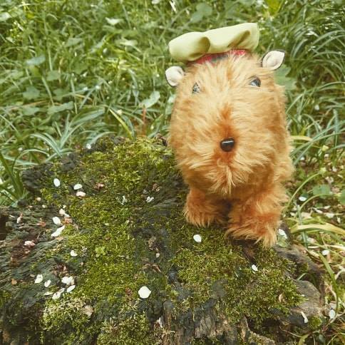 In Time Escape Rooms tweet media