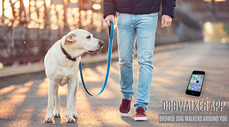dectarapps's tweet photo. On-demand Dogwalker Mobile App
#Dogise #Dogwalkerapp #mobileapp #IOS #Androidapp https://t.co/EmbEUhEDMy