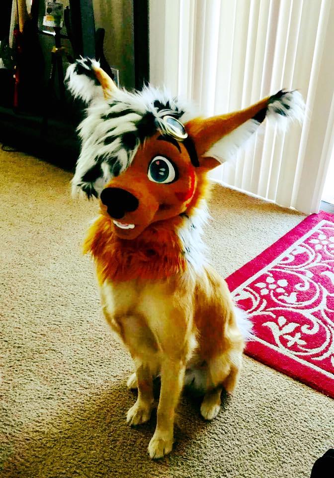 Omnom_squirrel's tweet photo. Quadsuit https://t.co/1A7IYoyqRo