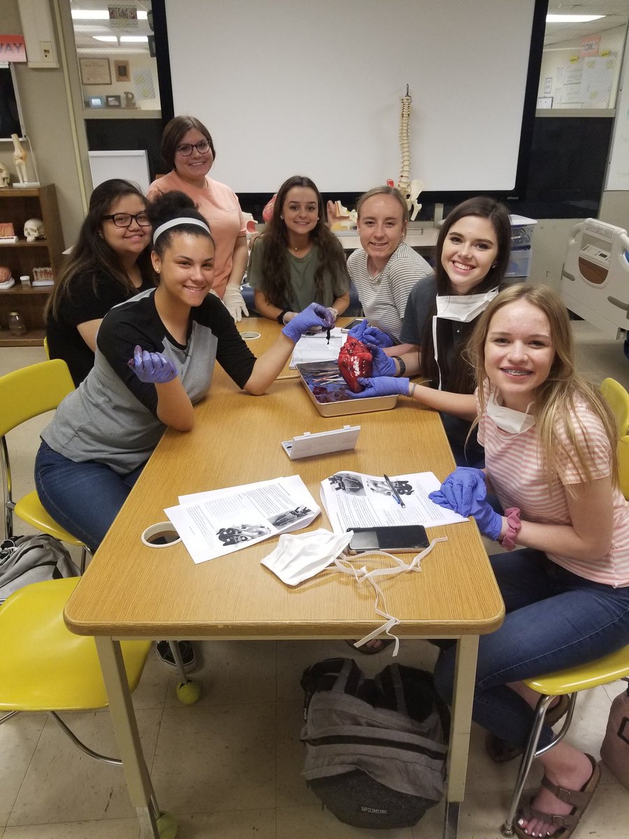 jenlynchalt's tweet photo. A&P students getting some hands on learning of the cardiovascular system by dissecting deer hearts. There are some future surgeons in this room! I have no doubt. #greatestshow #futurehealthpros @raylecomte @DCcougarnation @Trae_Weiss12 https://t.co/JjXC3iJbdP