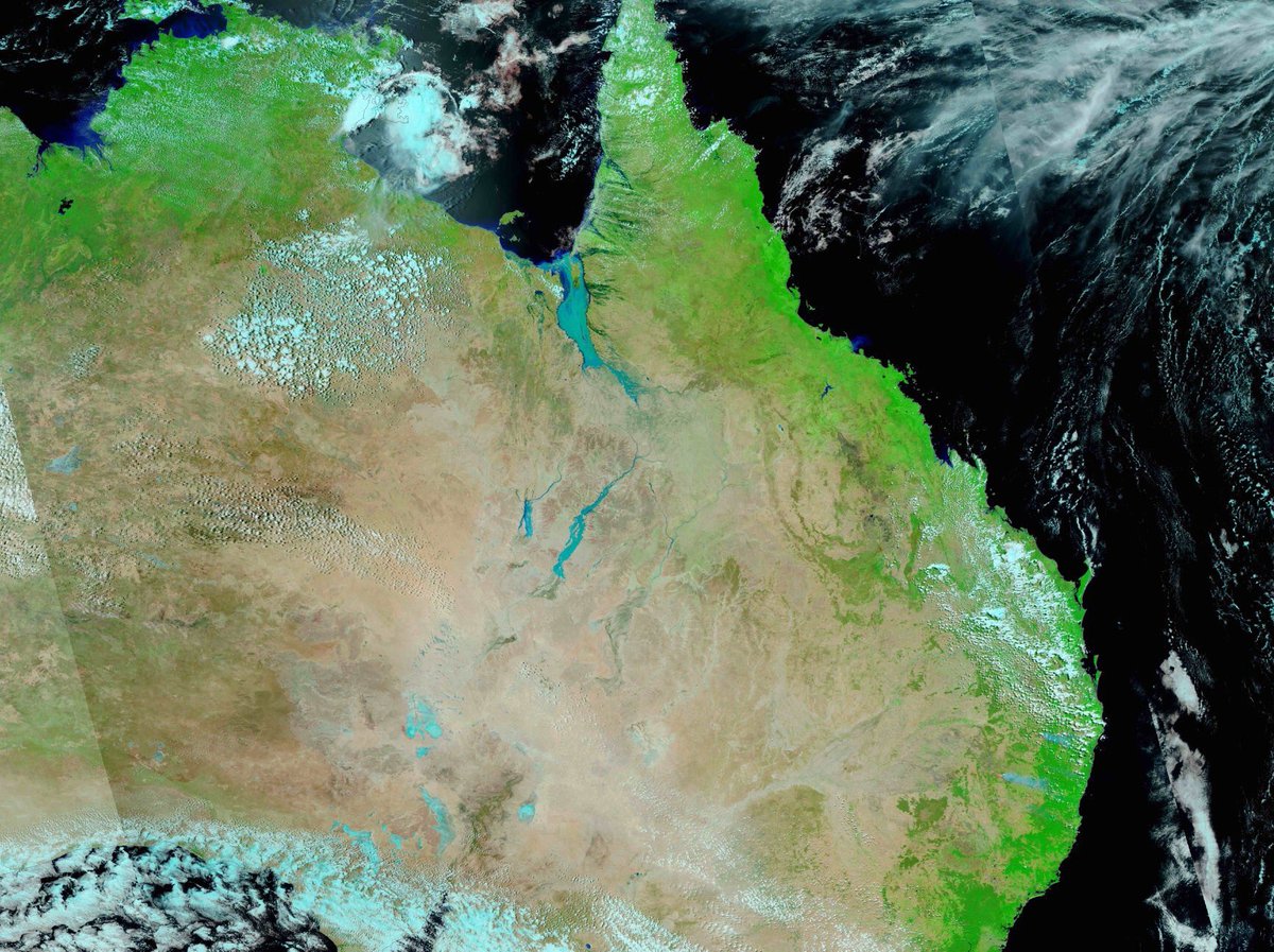 Market Check tweet media